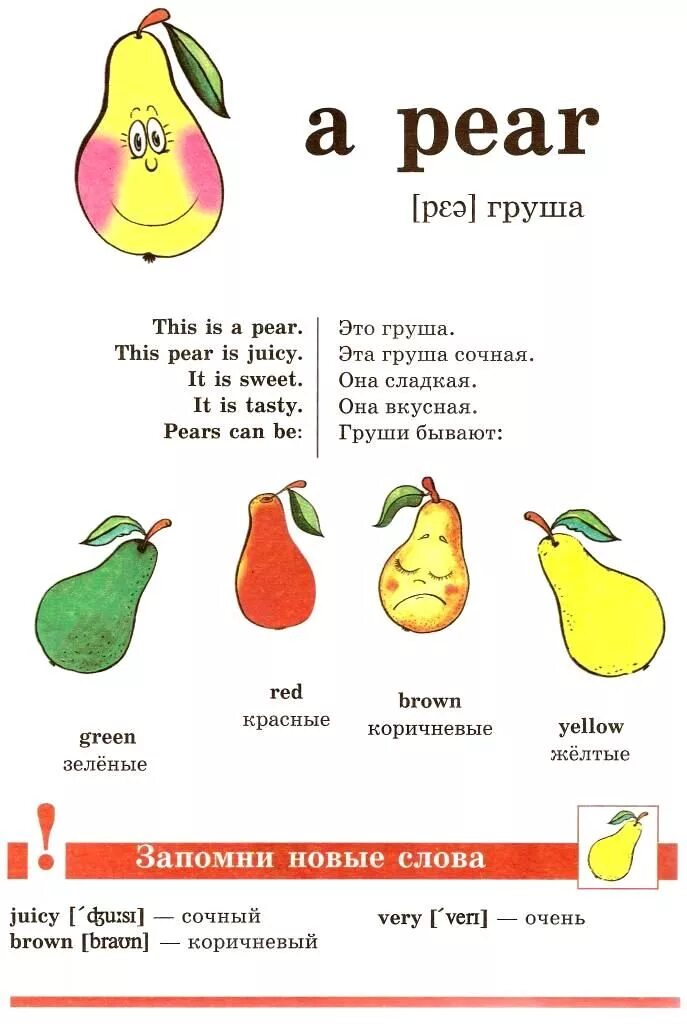 Груша перевод на английский. Груша на английском языке. Грушана англи. Загадка про грушу на английском. Стих про грушу.