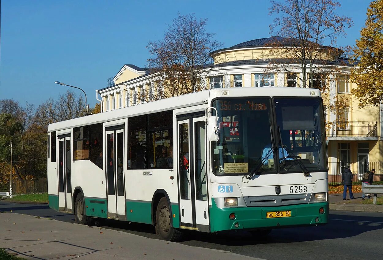 Петергоф какой автобус. 359 петергоф. маршрут 356 автобуса петергоф. маршрут 359 автобуса петергоф. автобус 204 петергоф автово.
