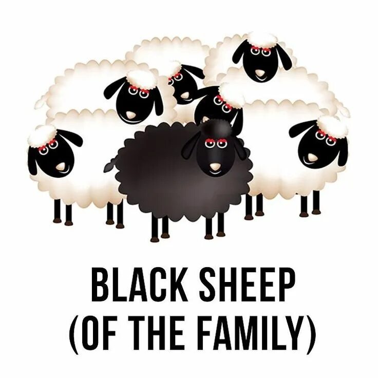 Портит стадо. Black Sheep of the Family идиома. Black Sheep идиома. Паршивая овца идиома. Черная овца идиома.