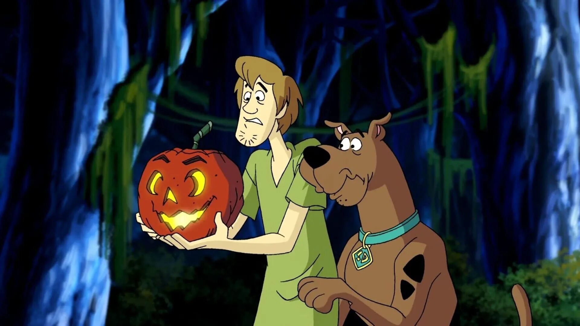 Скуби Ду. Шегги Скуби Ду. Watch scooby doo