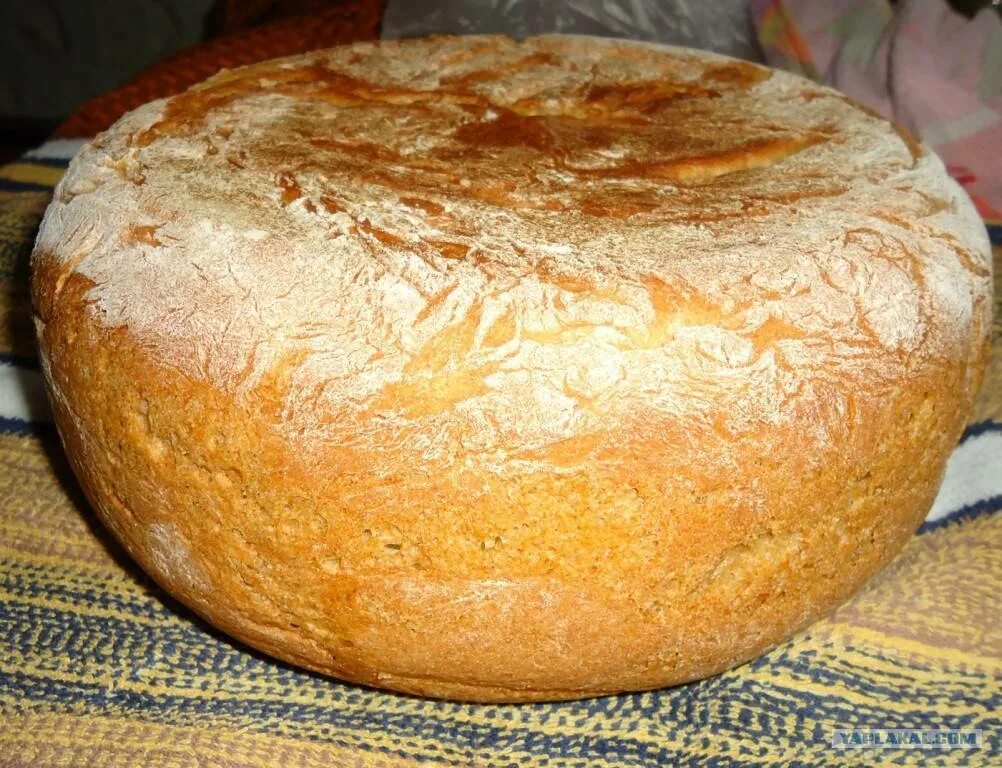 Домашний хлеб. Хлеб на сковороде. Хлеб в духовке. Хлеб домашний дрожжевой.