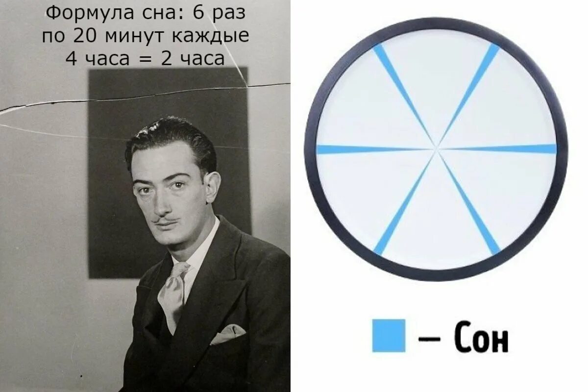 Метод сна Сальвадора дали. Техники сна по 2 часа. Сон по 20 минут. Техника сна Сверхчеловек. Сплю по 20 часов