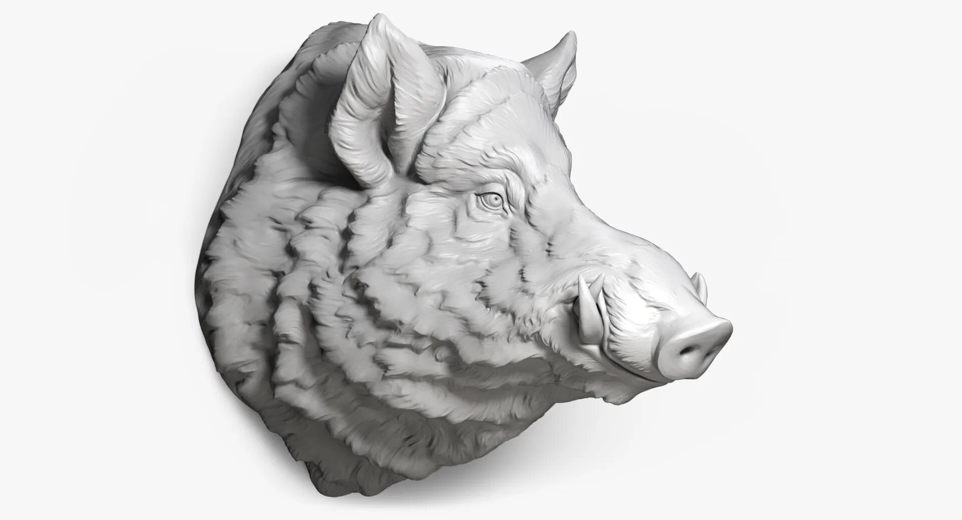 Кабан 3d max. Кабан 3d max. Кабан 3д модель. Кабан модель. Дикий кабан на прозрачном фоне.