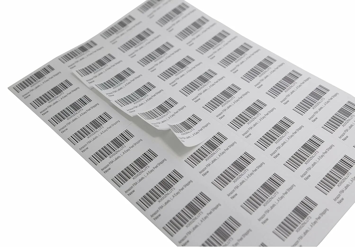Label 9