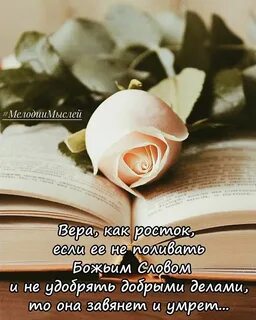 Мелодия мыслей