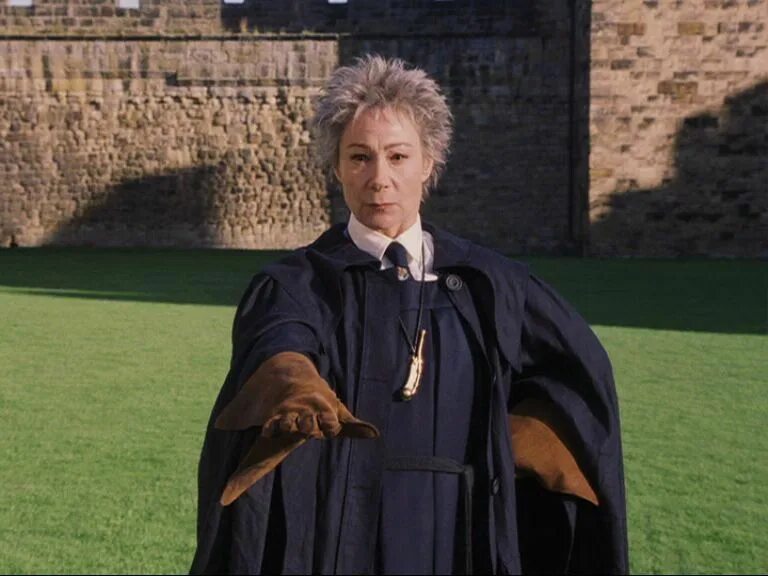 Роланд хогвартс. Мадам хуч гарри поттер. Роланда хуч гарри поттер. Мадам хуч гарри поттер. Роланд хогвартс.