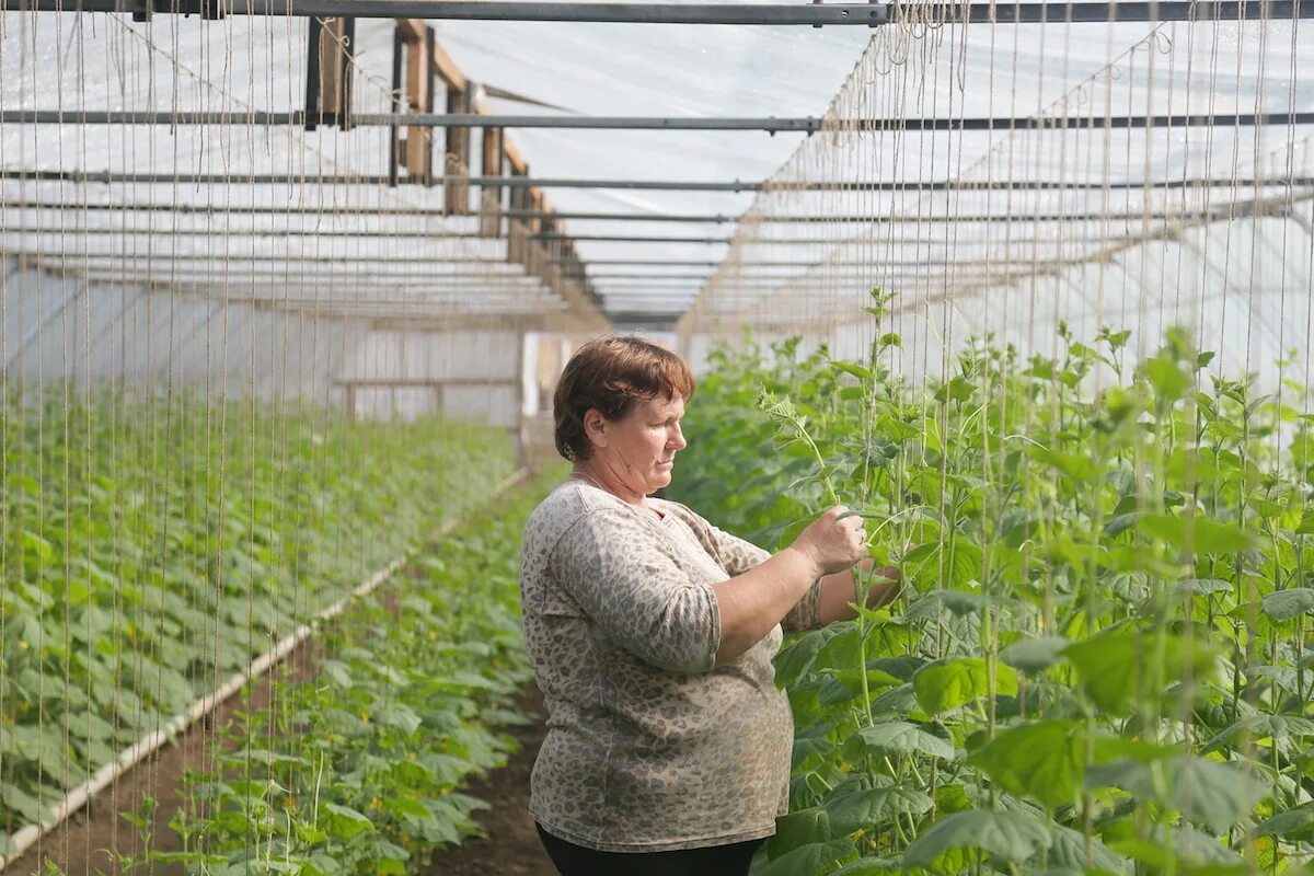 Свежие вакансии в астрахани. Поселок приволжье астрахань. Астрахань работа труд. Фарнад астрахань кондитерская. Астрахань работа труд.
