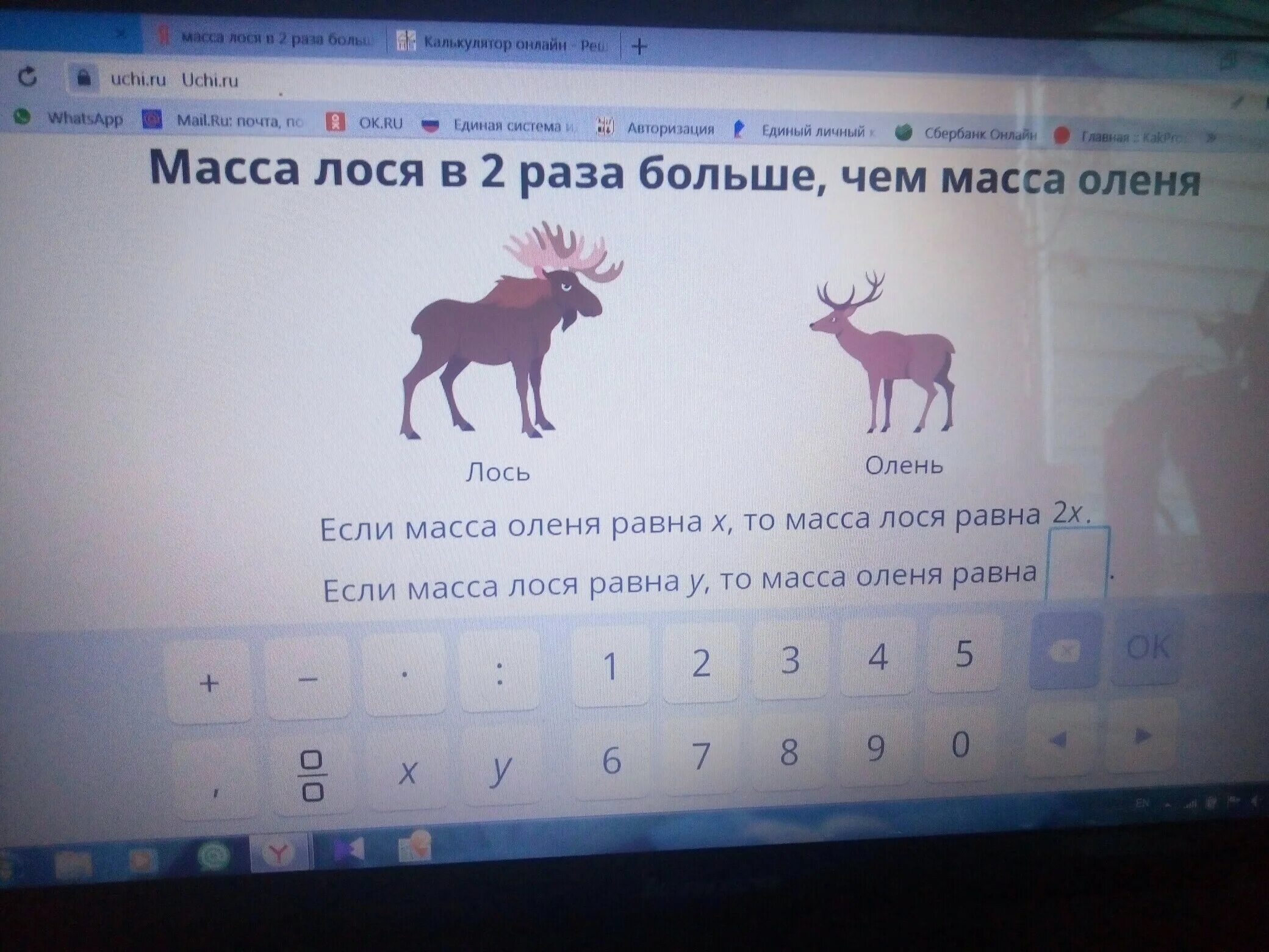 Расписание 50 лось