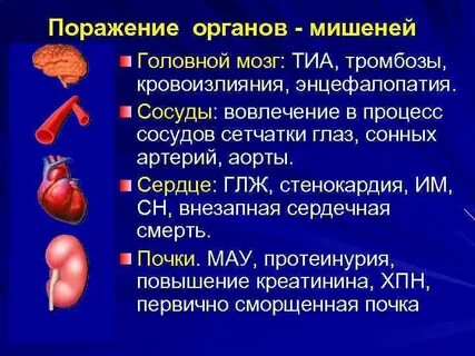 Органы мишени