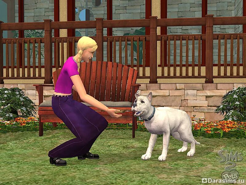 The SIMS 2: питомцы. Симс 2 петс. Симс 2 питомцы. Игра симс 2 питомцы.