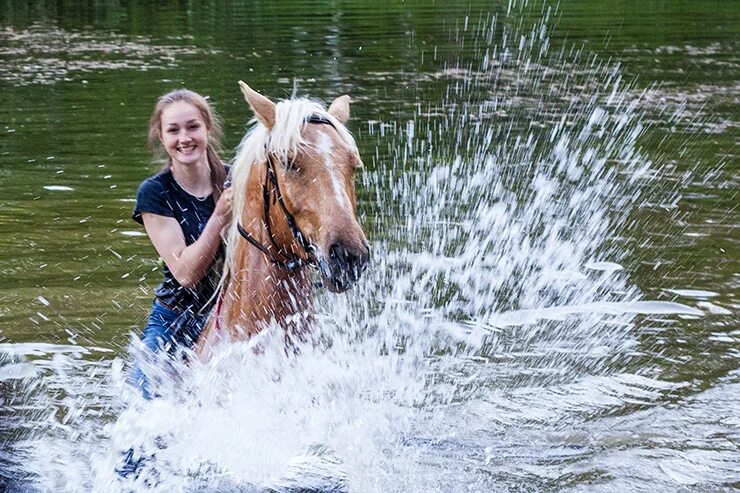 Плавание на лошадях. Лошадь купается. Купание на лошадях. Купание лошадей женщины. Купание лошадей