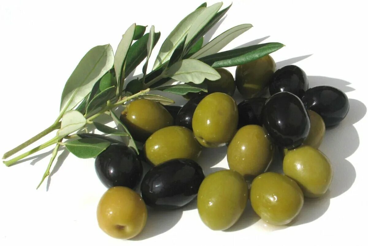 Зайтун меваси. Aiello оливки. Айелло маслины. Ассорти маслин и оливок.