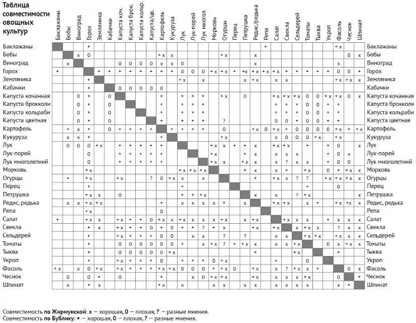 Таблица соседства на грядках. Таблица совмещения посадки овощей. Таблица совместимости растений на участке. Таблица совместимости посадок овощных культур. Таблица посадки огородных растений по совместимости.