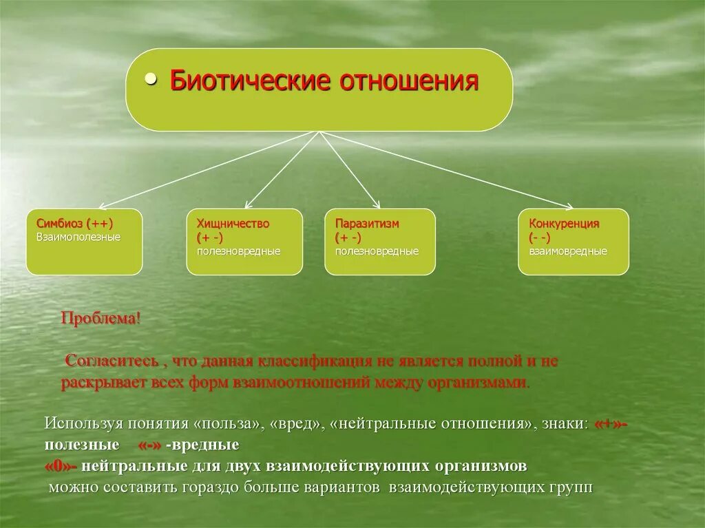 Биотические отношения. Биотические взаимоотношения организмов. Биотические факторы типы взаимоотношений таблица. Типы биотические взаимоотношения.