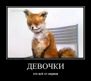 Выпей нервы