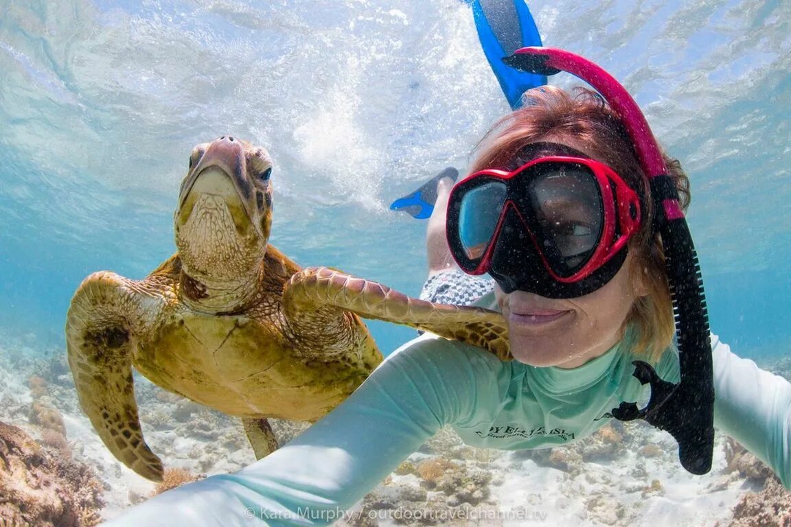 Отдых прикольное. Египет риф снорклинг. Снорклинг с черепахами Мальдивы. Снорклинг в Хургаде. Сноркелинг в Египте.