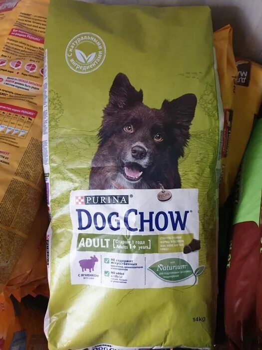 Корм для собак зеленая упаковка. Корм для собак в салатовой упаковке. Мешок собачьего корма. Корм в зеленой упаковке. Корм для собак калининград