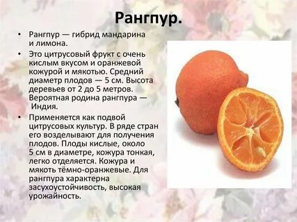 Виды цитрусовых плодов