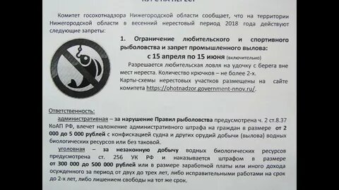 Какой штраф за вылов рыбы