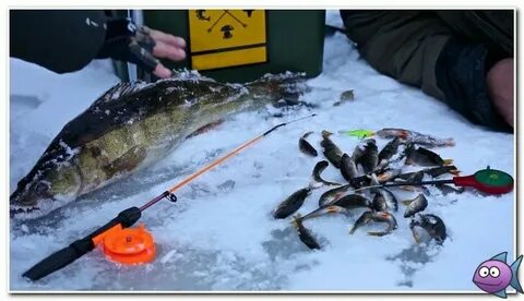 Рыбалка на безмотылку зимой