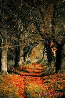 Fall months