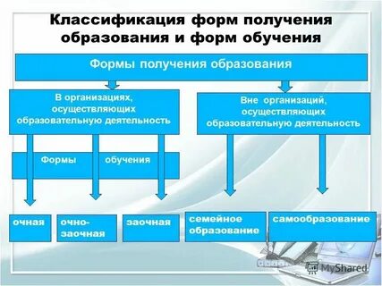 Образовательные организации общего образования это