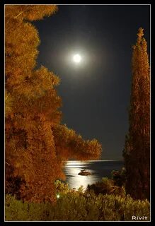 Осенняя ночь тянется медленно