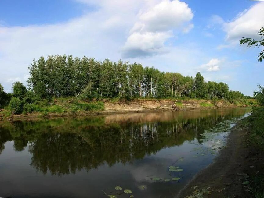 Р пышма. Река пышма тюмень. река пышма в талице. пышма река исток. река пышма свердловская область.