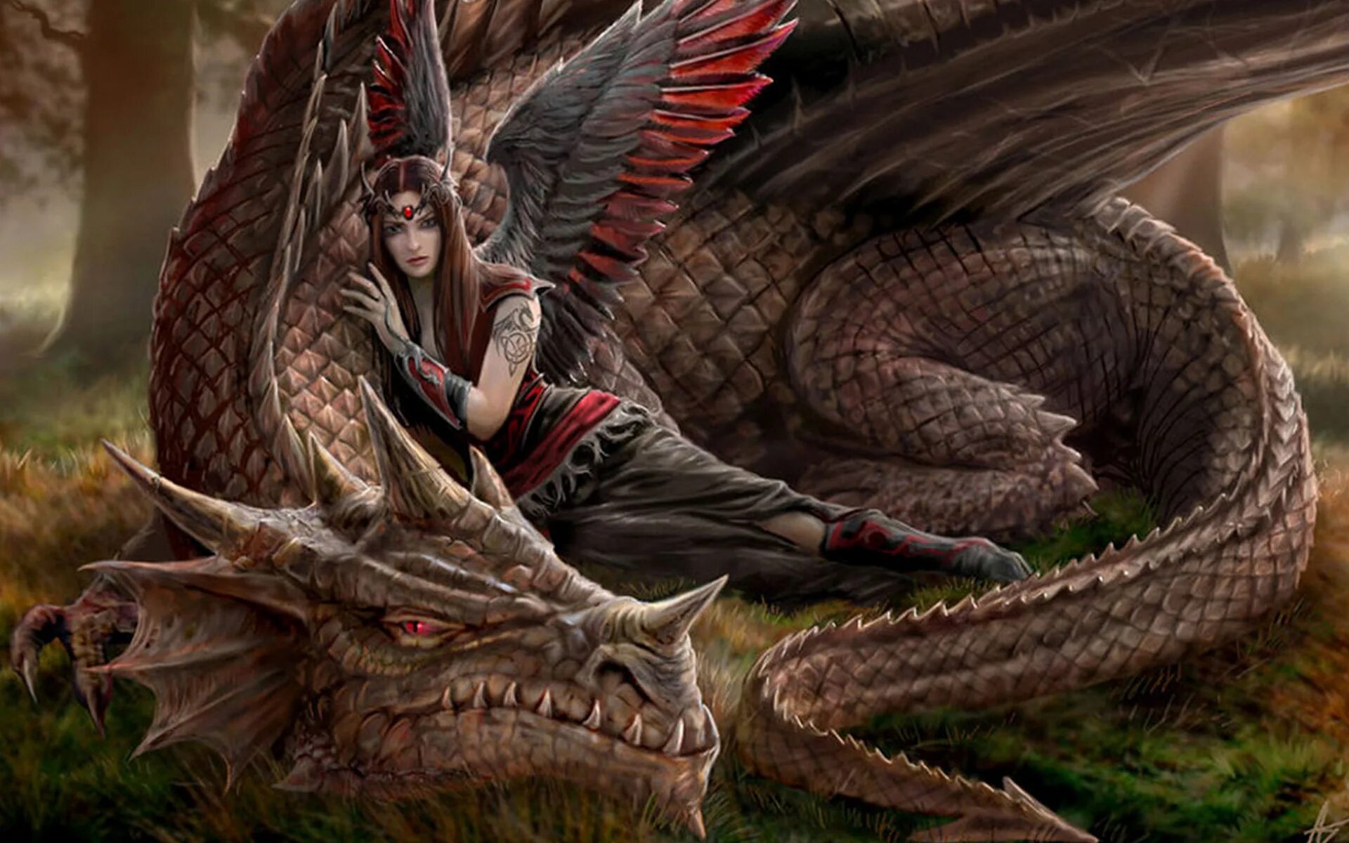 Читать полностью магия драконов. Anne Stokes драконы. Энн Стоукс Anne Stokes. Энн Стоукс художник. Anne Stokes драконы с девушкой.