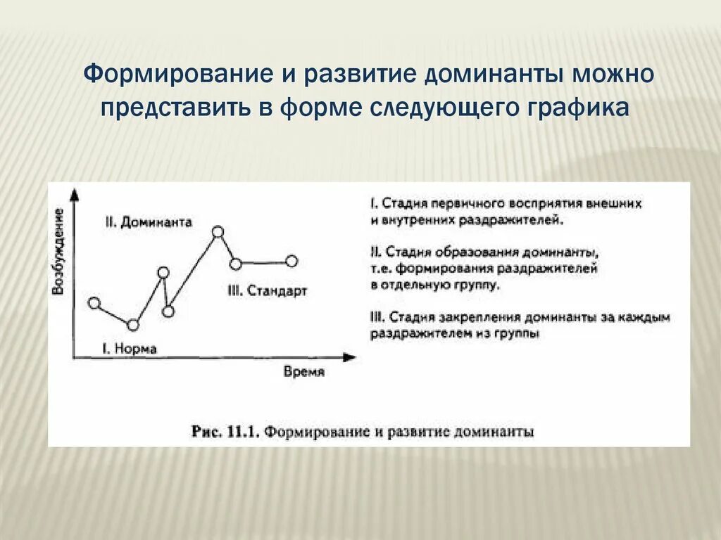 Доминанты поведения. Механизмы формирования Доминанты по а.а Ухтомскому. Ухтомский а.а. "Доминанта". Стадии формирования Доминанты. Теория Доминанты Ухтомского.