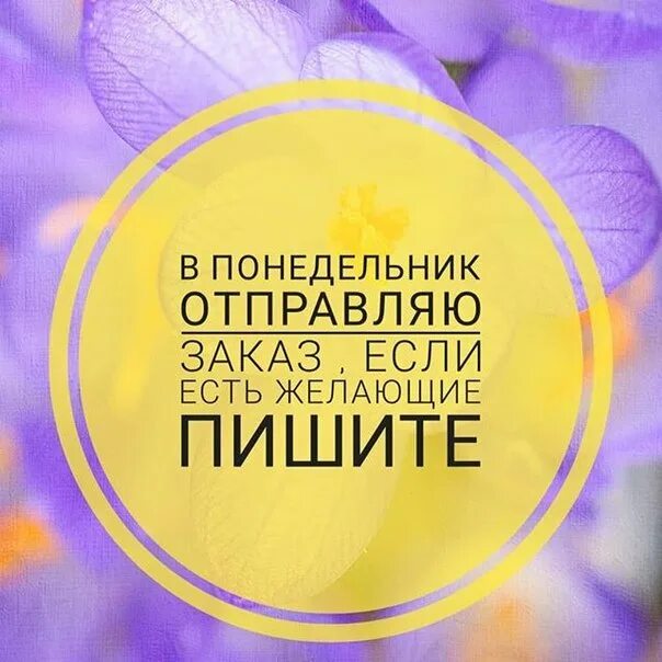 Регистрация в понедельник. Регистрация в понедельник. Стих про понедельник. Регистрация в понедельник. Последний понедельник декабря.