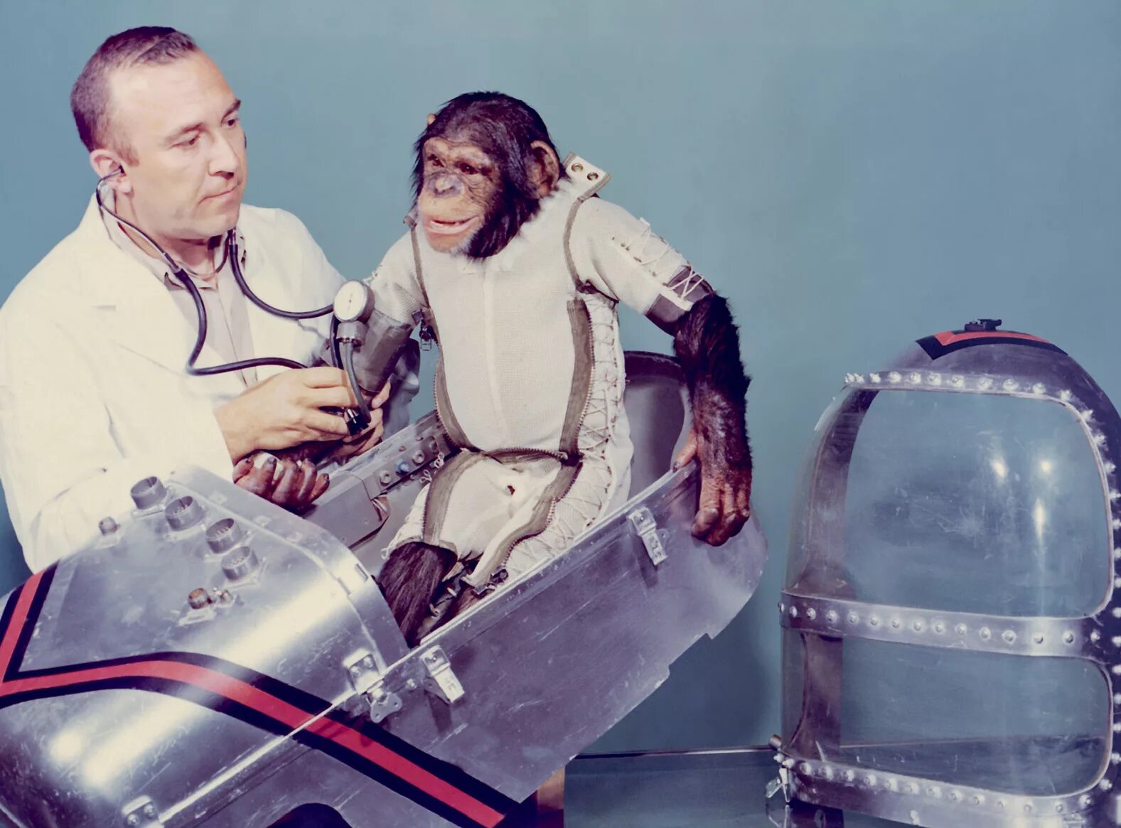 Первая обезьяна полетевшая в космос. Эйбл и Бейкер в космосе. Обезьяны Эйбл и Мисс Бейкер в космосе. Шимпанзе Энос космонавт.