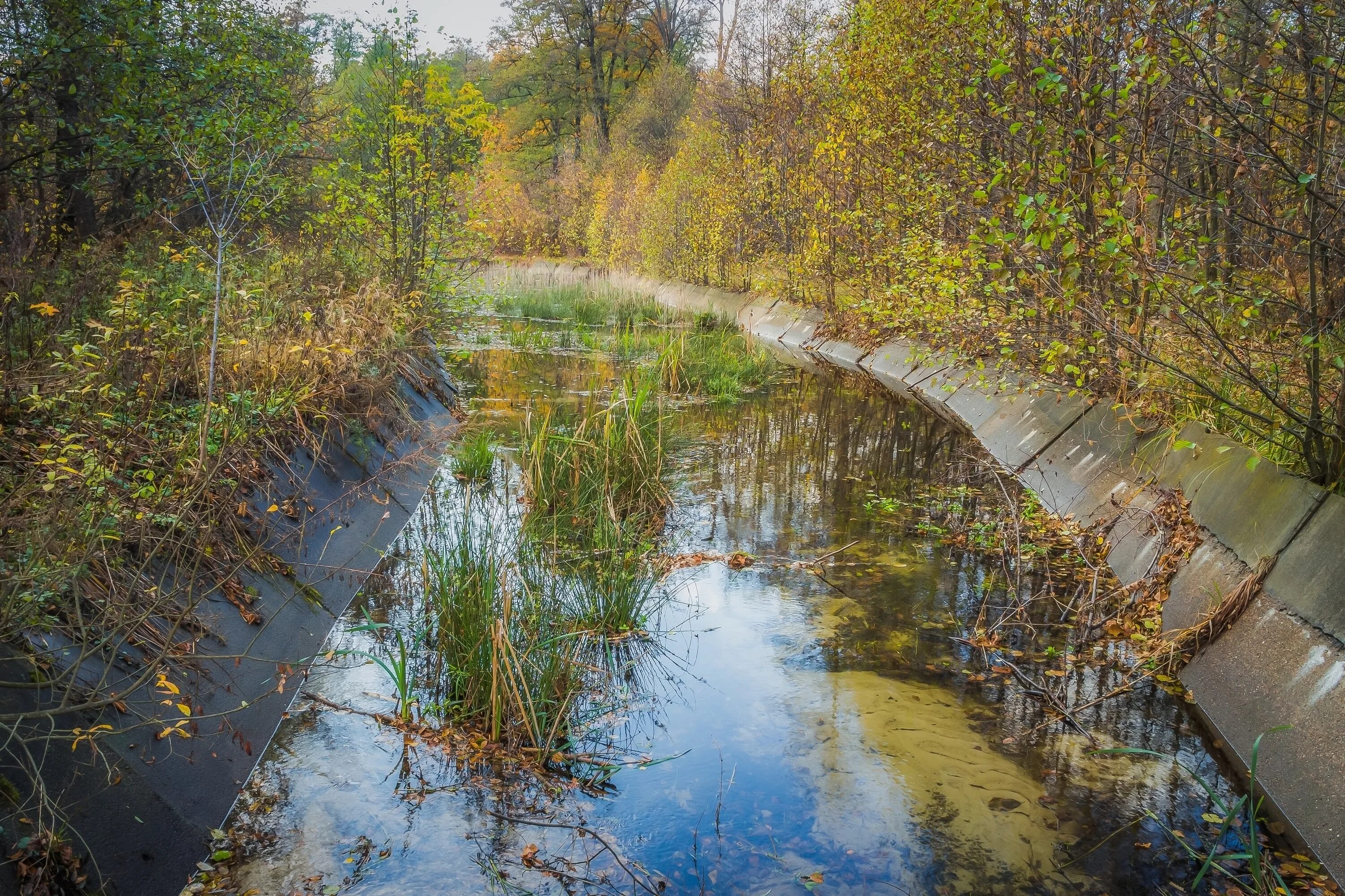 Река студенка тамбов. Река студенка марий эл. Река студенка. Студëнка марий эл. Река студенка.