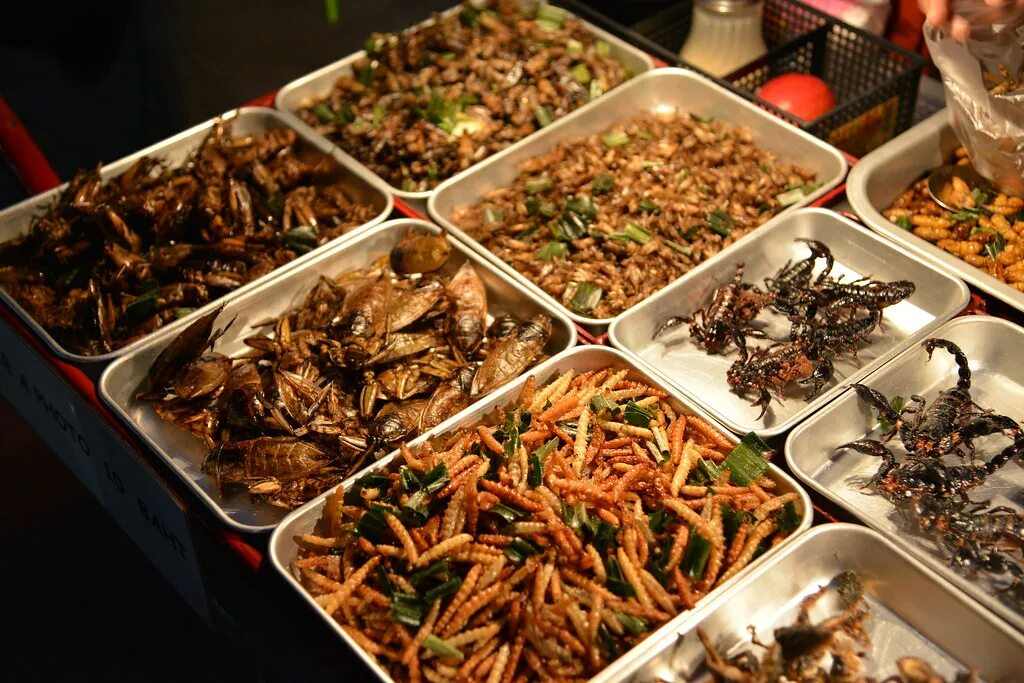 Блюдо тараканы Тайланд. Бангкок стрит фуд. Блюда из насекомых. Китайские блюда из насекомых.