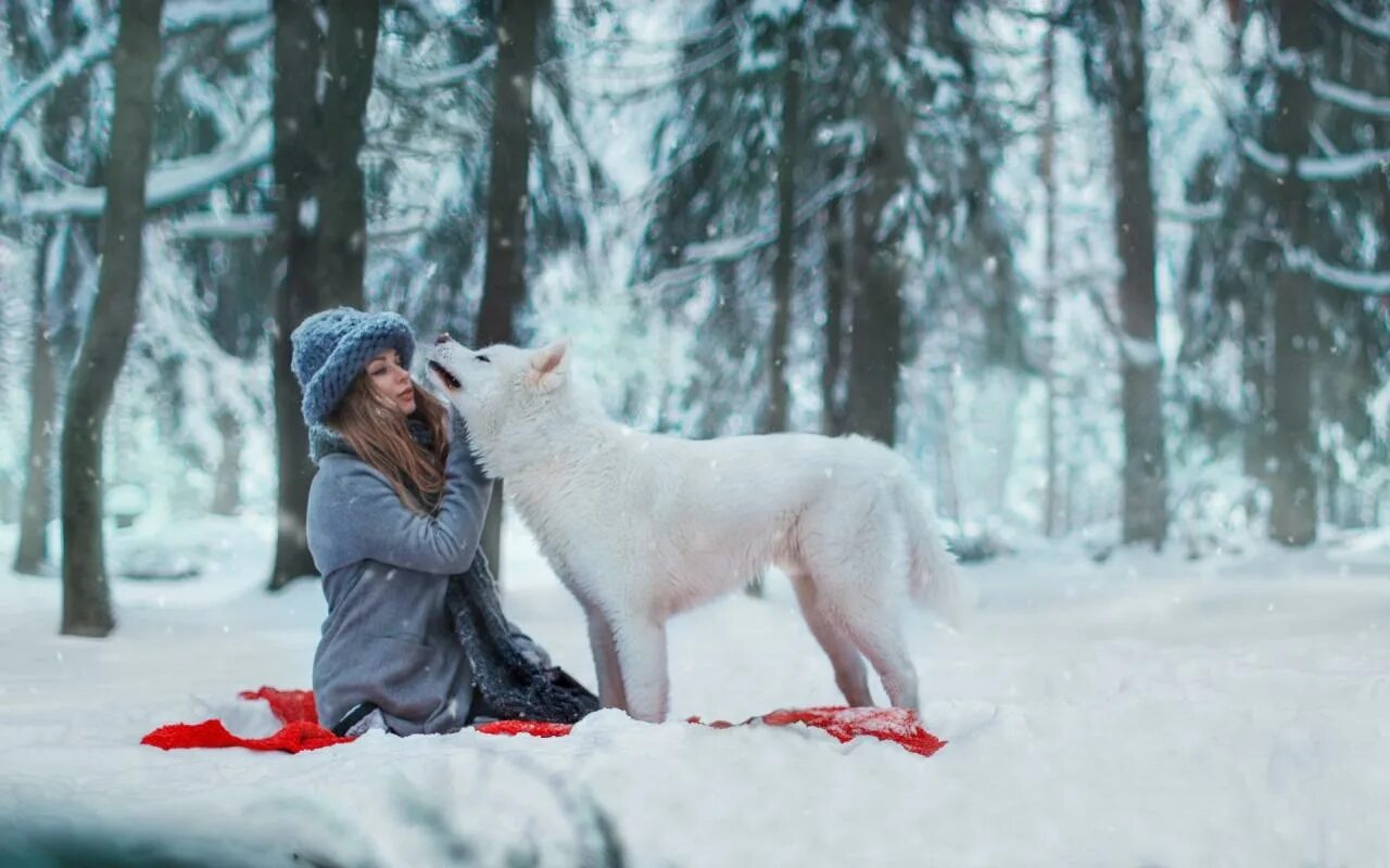 Девушки с собакой в лесу. Фотосессия с собакой зимой. прогулка в зимнем лесу. девушка в зимнем лесу. зимняя фотосессия в лесу с собакой.