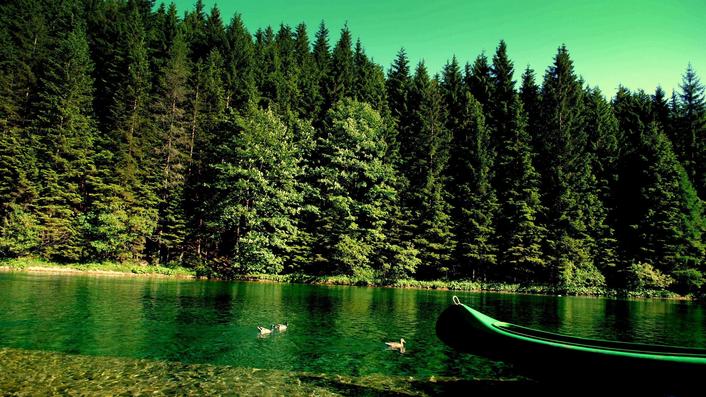 Большое зеленое озеро. Озеро Рица. Озеро Грин Лейк Гавайи. Телецкое озеро. Природа лес.