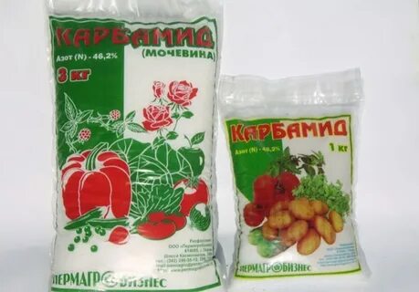 Азотные удобрения для клубники