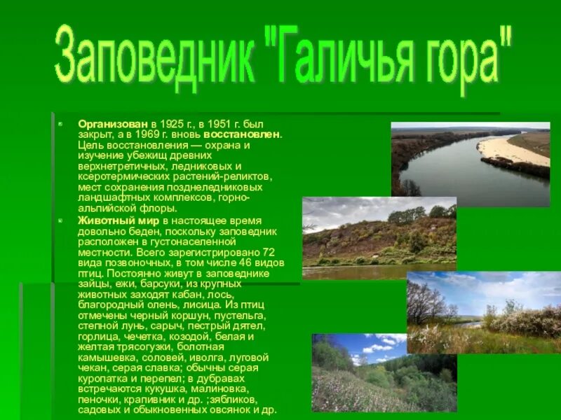 Проект заповедники россии 4 класс. Сообщение о заповеднике. Доклад о заповеднике. Сообщение о заповеднике России. Заповедники России доклад.