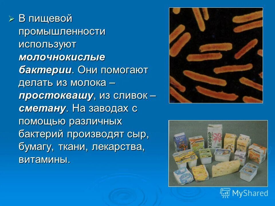 Формы молочнокислых бактерий. Роль молочнокислых бактерий. Бактерии в промышленности. Микроорганизмы в пищевой промышленности. Тест пищевой промышленности