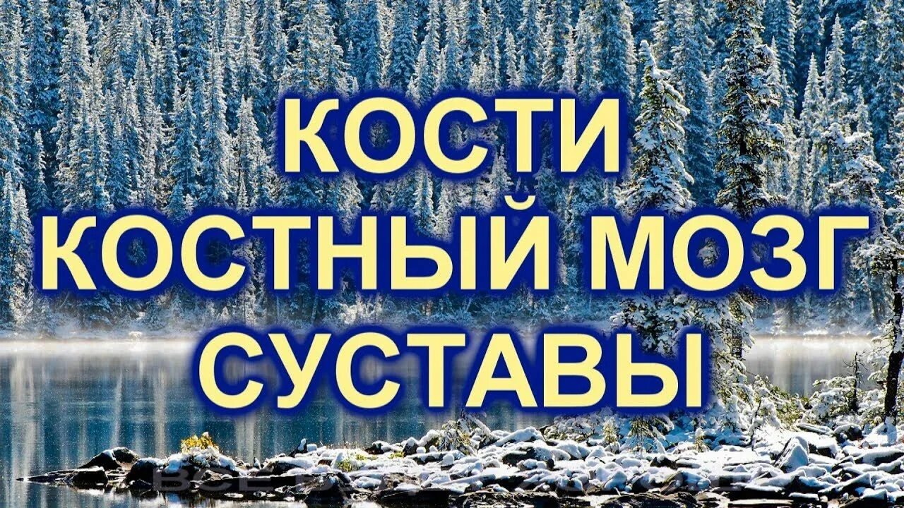 Настрой Сытина на оздоровление суставов и костей. Настрои Сытина для женщин на омоложение. Сытин кости суставы. Настрой Сытина суставов на оздоровление костей для женщин.