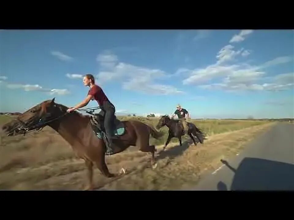 Не гони коней рай. Рада рай 2022. Гнать лошадей. Не гони коней рай. Не гони коней рай.