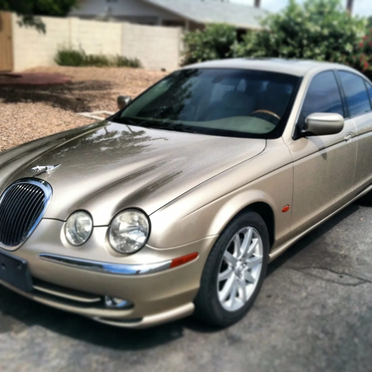 Ягуар s Type 2001. Jaguar s-Type 1999. Jaguar x Type 2000. Ягуар s-Type 2005. S type купить