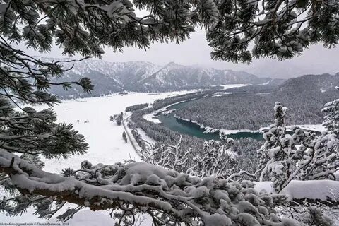 Новый год в горном алтае программа