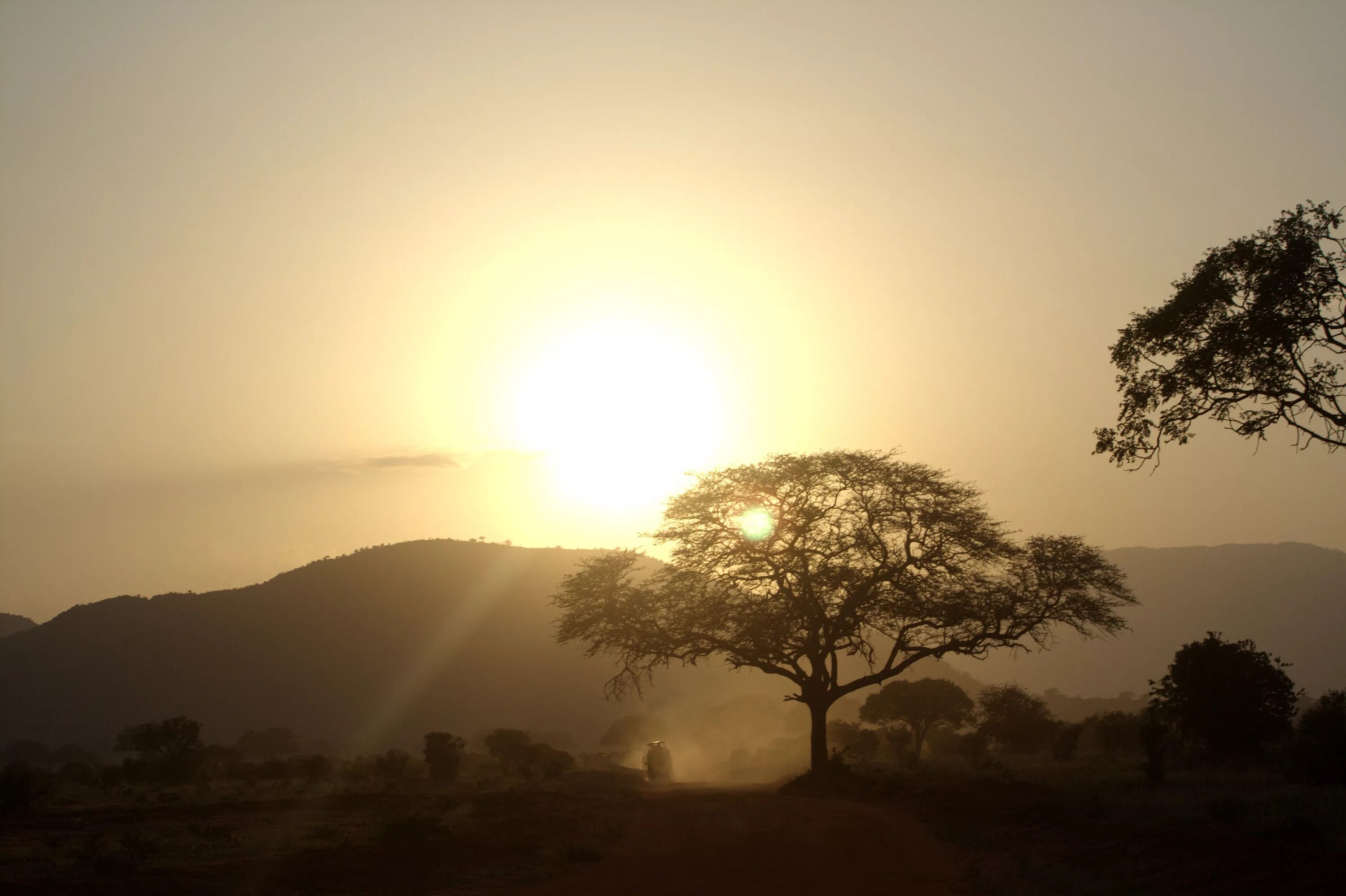 Каждое утро в африке. Солнце в Африке. Рассвет в Африке. Закат в Африке. Утро в Африке.