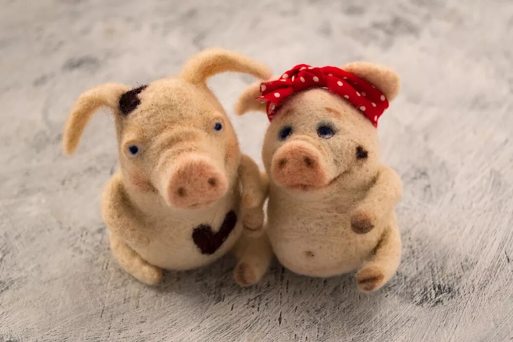 желтый поросенок. поросенок. год желтой свиньи. свинка в новогодней шапке. поросенок.