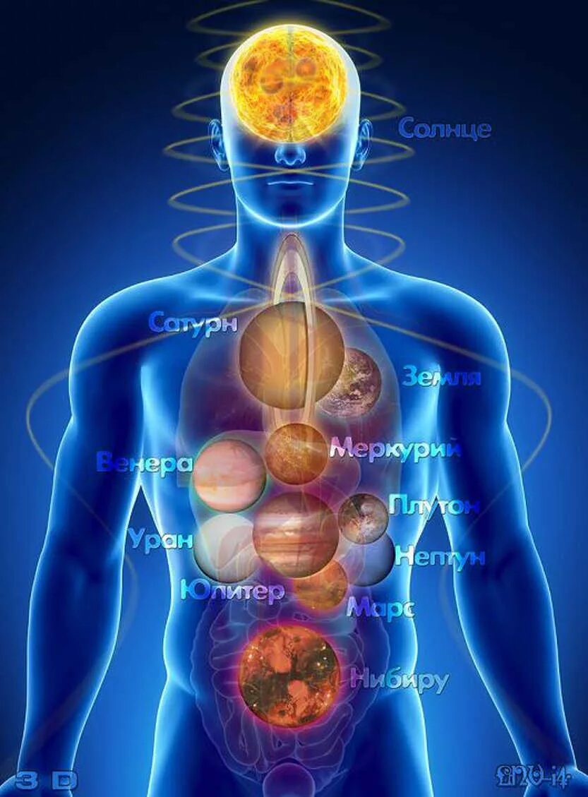 Организм человека и сам человек. Тело человека. Организм человека. Энергетические тела человека.