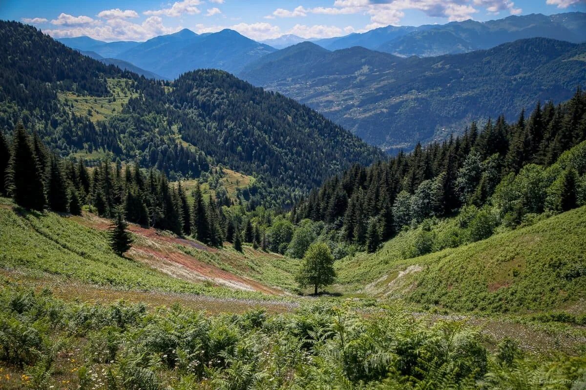 Аджария горы. Горная Аджария Грузия. Аджария Гурия Грузия. Горы Аджарии с моря. Сим грузия