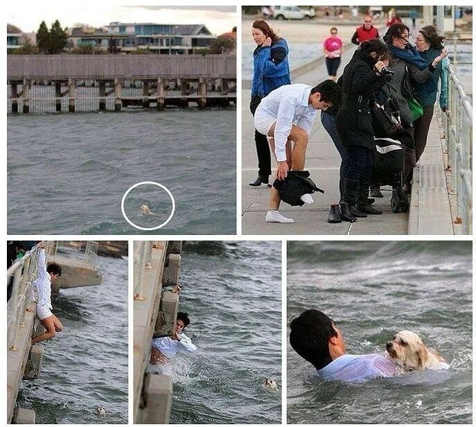 Добрые поступки. Добрые поступки. Мужчина и женщина поступки. Мужчина спасает женщину. Злонамеренный поступок картинки.