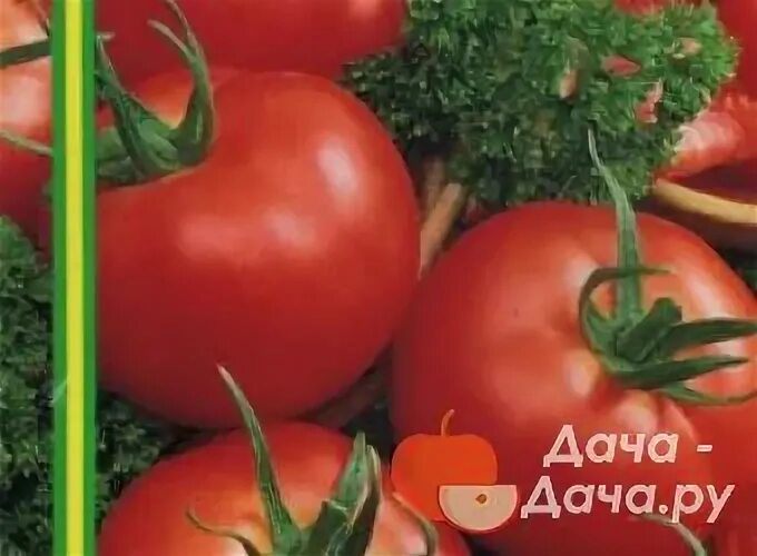 Примо ред описание сорта. Томат примо ред. томат прима ред. томат прима ред характеристика. томат примо ред характеристика и описание.
