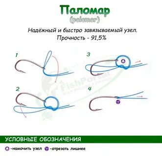 Паломар
